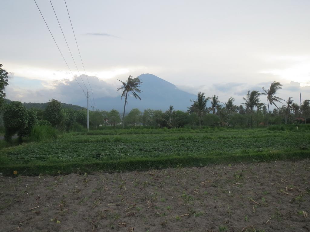 Mesari Homestay & Warung Amed  Exterior photo